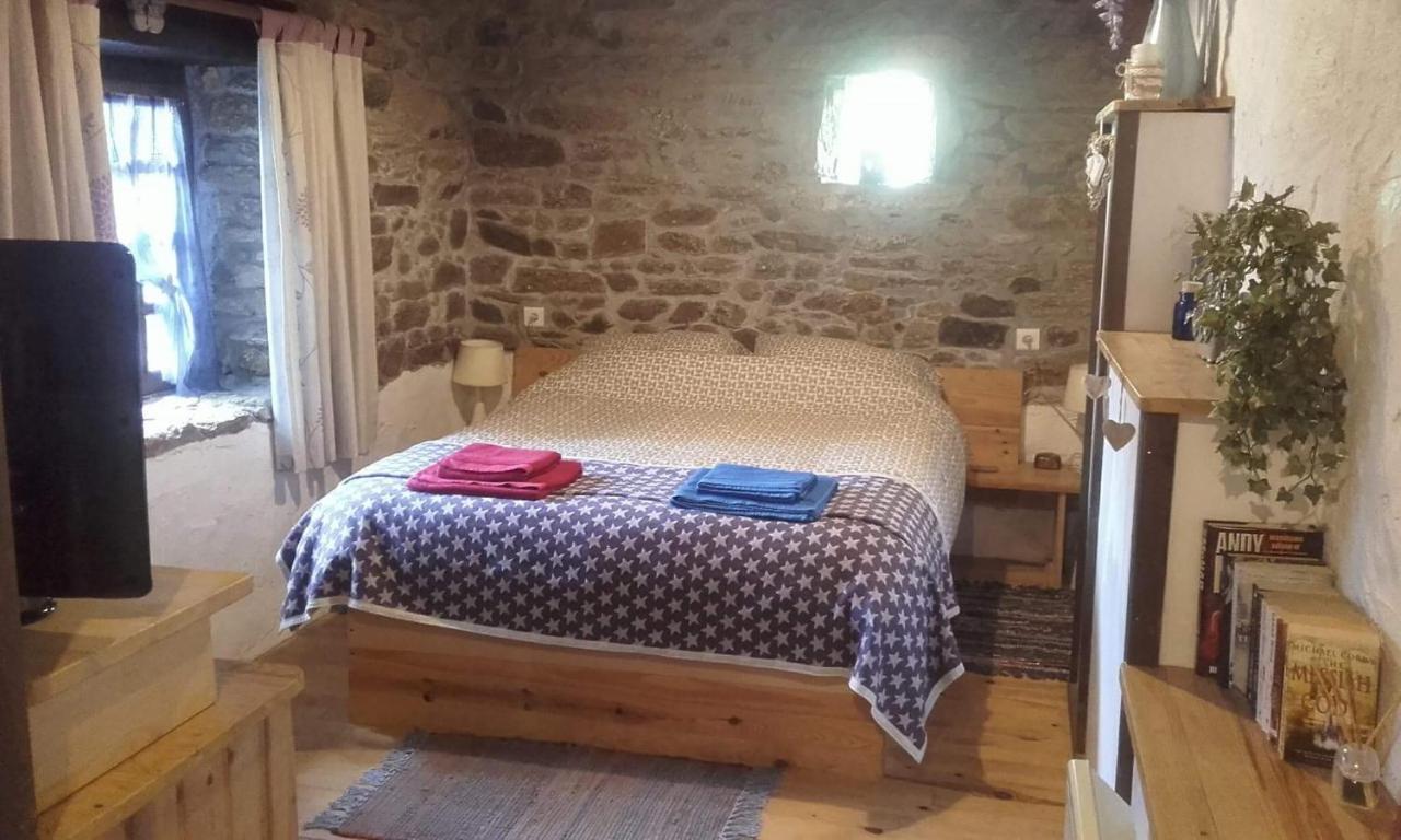 Gites De Camors Esterno foto